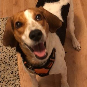 Meet your Posher, Amber